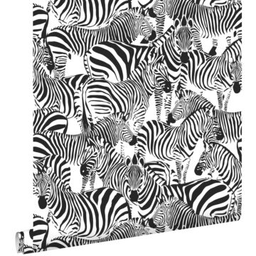 Tapete Zebras Schwarz-Weiß
