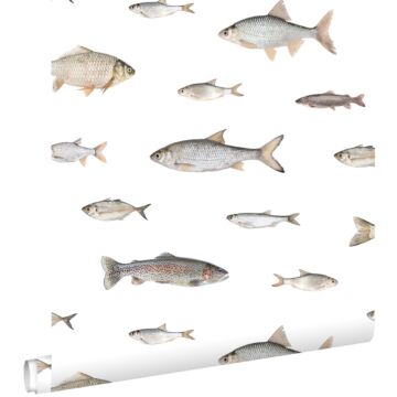 Tapete Fische Grau