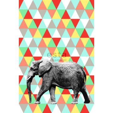 Fototapete Elefant Multicolor