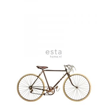 Fototapete altes Fahrrad Weiß, Braun und Beige