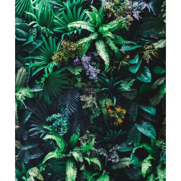 Fototapete tropische Pflanzen Grün
