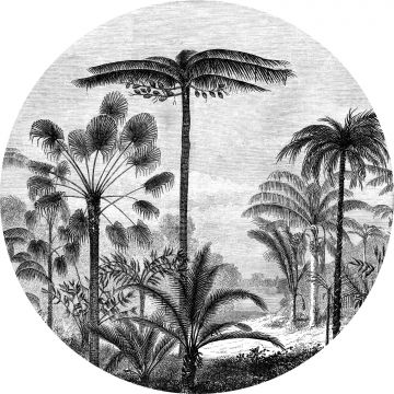 selbstklebende runde Tapete tropische Landschaft mit Palmen Schwarz-Weiß