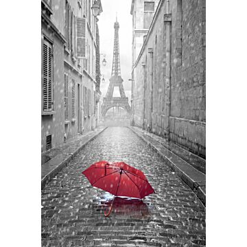 Fototapete Paris Ansicht Grau und Rot