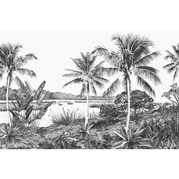 Fototapete tropische Landschaft mit Palmen Schwarz-Weiß