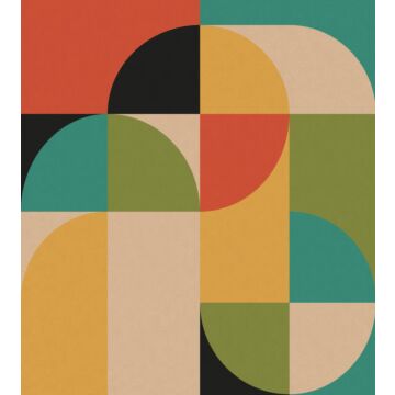 Fototapete Kreise im Bauhaus-Stil Multicolor