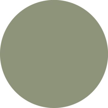 Wandfarbe matt  Salbeigrün