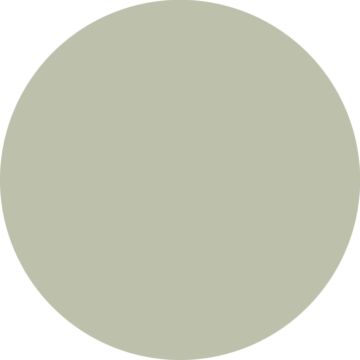 Wandfarbe matt  Graugrün